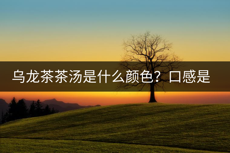 烏龍茶茶湯是什么顏色？口感是什么？