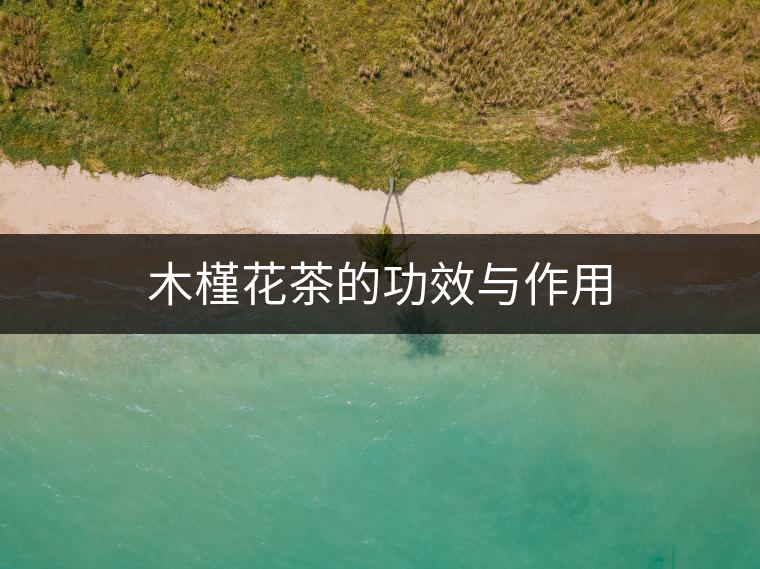 木槿花茶的功效與作用 木槿花茶的功效與作用
