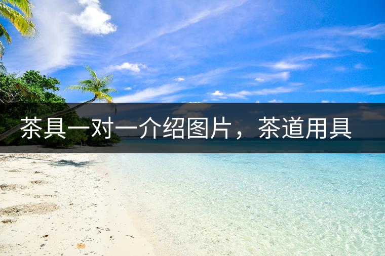 茶具一對(duì)一介紹圖片，茶道用具圖解