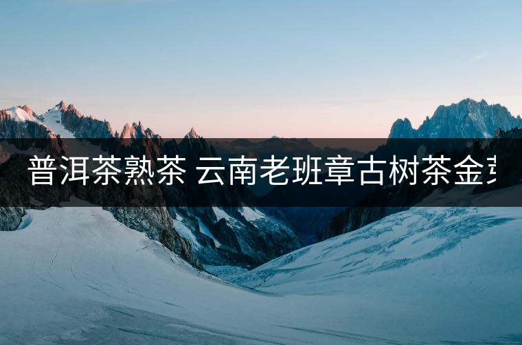 普洱茶熟茶 云南老班章古樹茶金芽特級熟茶357g大餅茶葉 久樽正品 普洱茶熟茶 云南老班章古樹茶金芽特級熟茶357g大餅茶葉 久樽正品