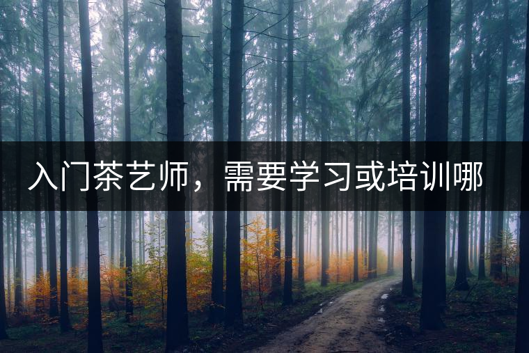 入門茶藝師，需要學習或培訓哪些知識