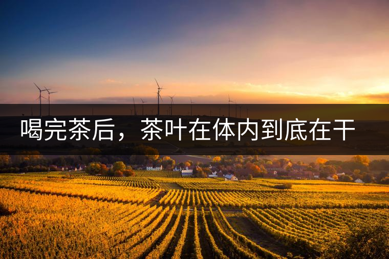 喝完茶后，茶葉在體內(nèi)到底在干嘛，游走的茶水