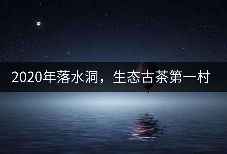 2020年落水洞，生態(tài)古茶第一村-易武中聘號