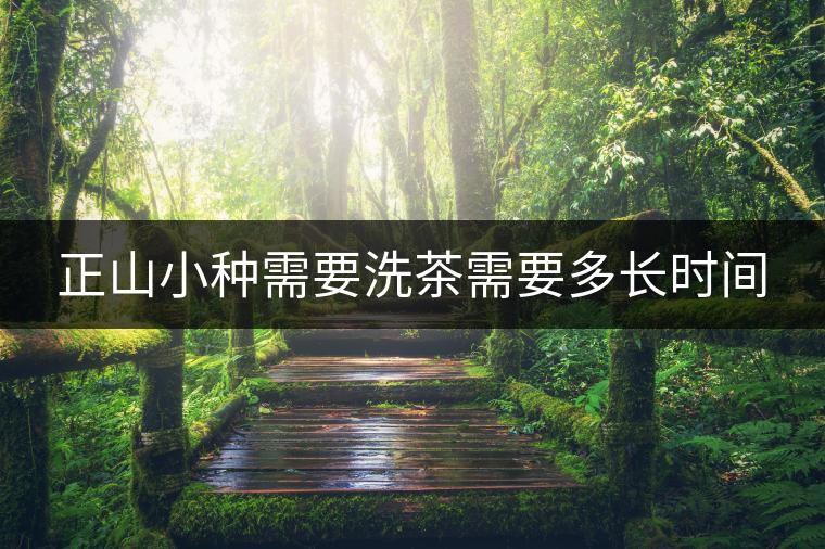 正山小種需要洗茶需要多長時(shí)間
