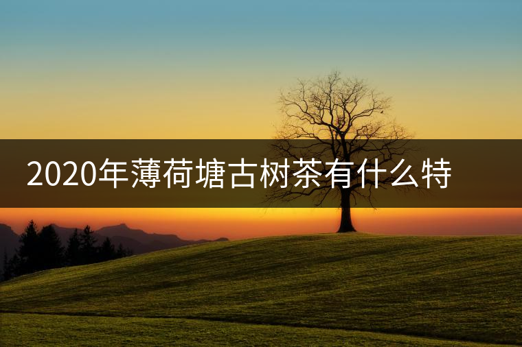 2020年薄荷塘古樹茶有什么特征？薄荷塘的價格及產(chǎn)量如何？-易武中聘號