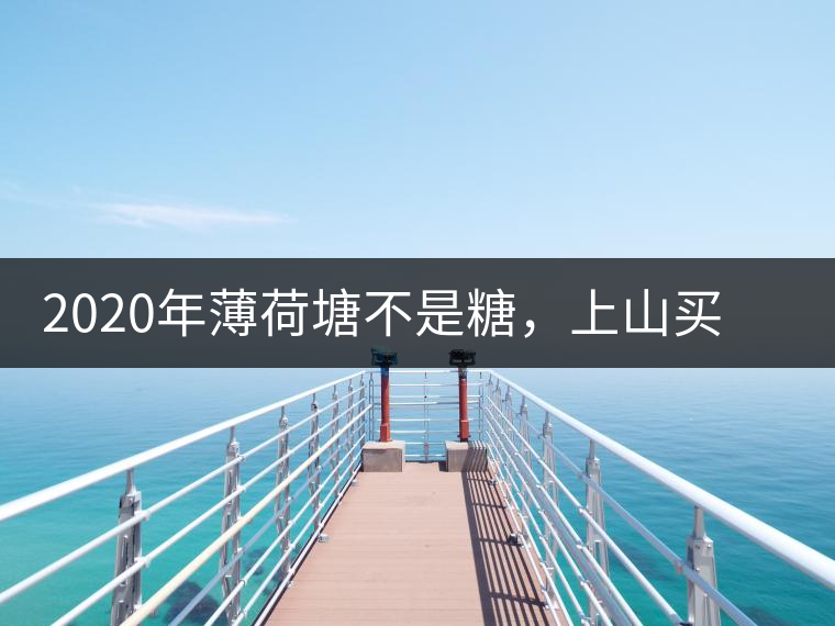 2020年薄荷塘不是糖，上山買茶除了帶鈔票還得搖號(hào)-易武中聘號(hào)