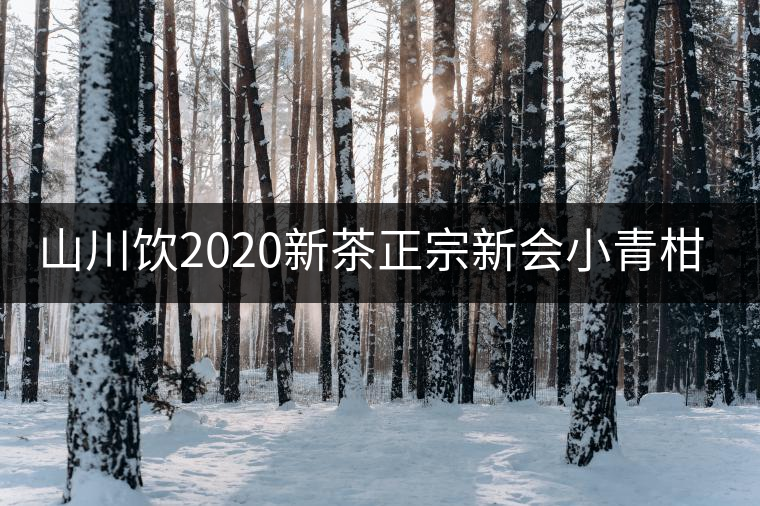 山川飲2020新茶正宗新會(huì)小青柑普洱茶陳皮熟茶柑普橘茶葉100g送禮