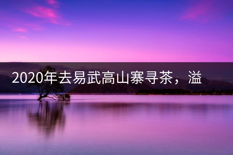 2020年去易武高山寨尋茶，溢滿茶香的古樹(shù)寨子-易武中聘號(hào)