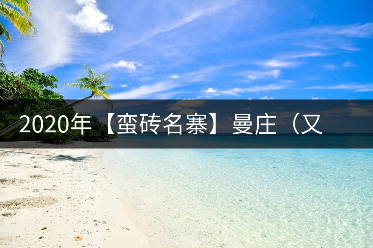 2020年【蠻磚名寨】曼莊（又作：蠻磚、曼磚）-易武中聘號(hào)