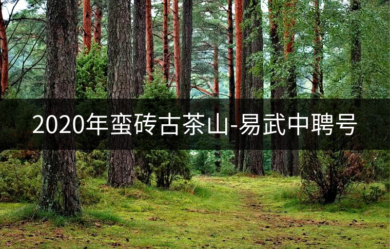 2020年蠻磚古茶山-易武中聘號