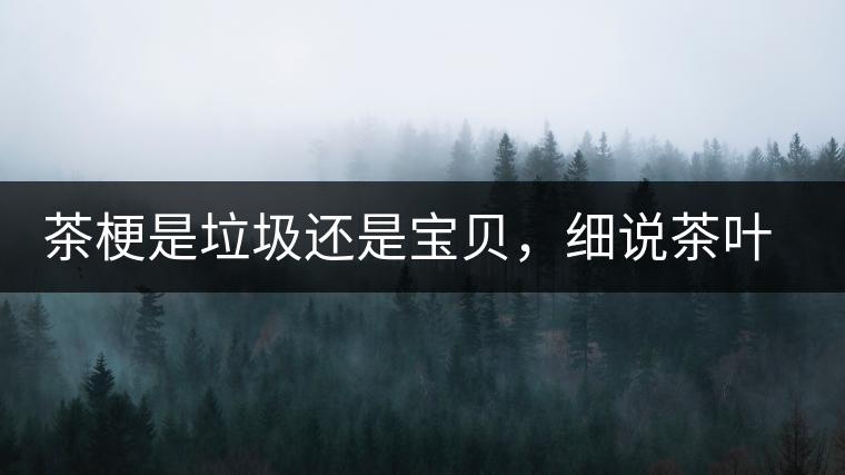 茶梗是垃圾還是寶貝，細(xì)說(shuō)茶葉的那些梗