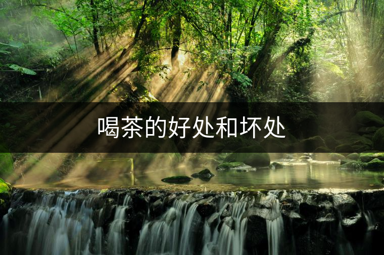 喝茶的好處和壞處