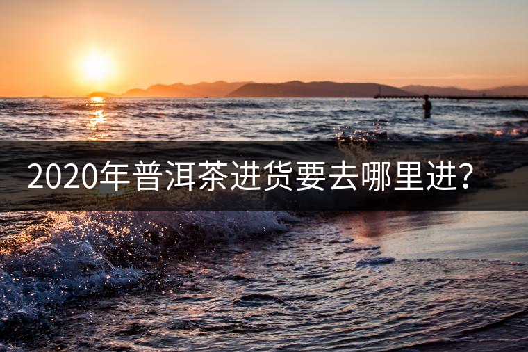 2020年普洱茶進貨要去哪里進？-易武中聘號