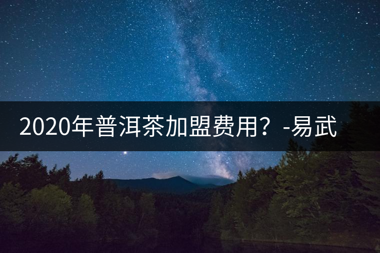 2020年普洱茶加盟費用？-易武中聘號