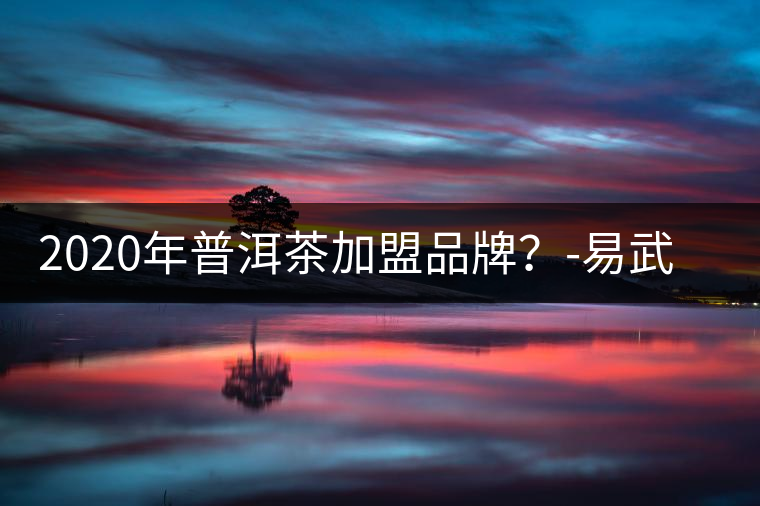 2020年普洱茶加盟品牌？-易武中聘號