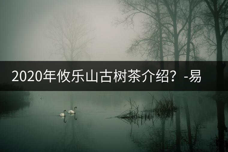 2020年攸樂山古樹茶介紹？-易武中聘號