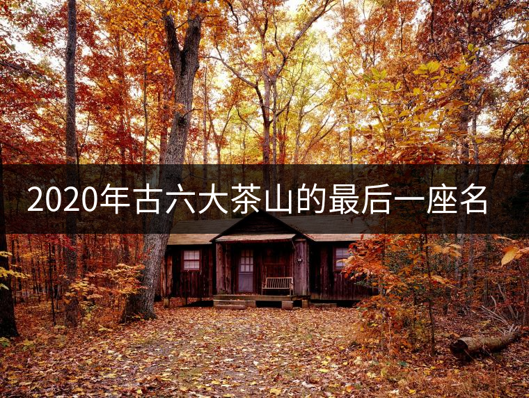 2020年古六大茶山的最后一座名山——攸樂(lè)山。-易武中聘號(hào)