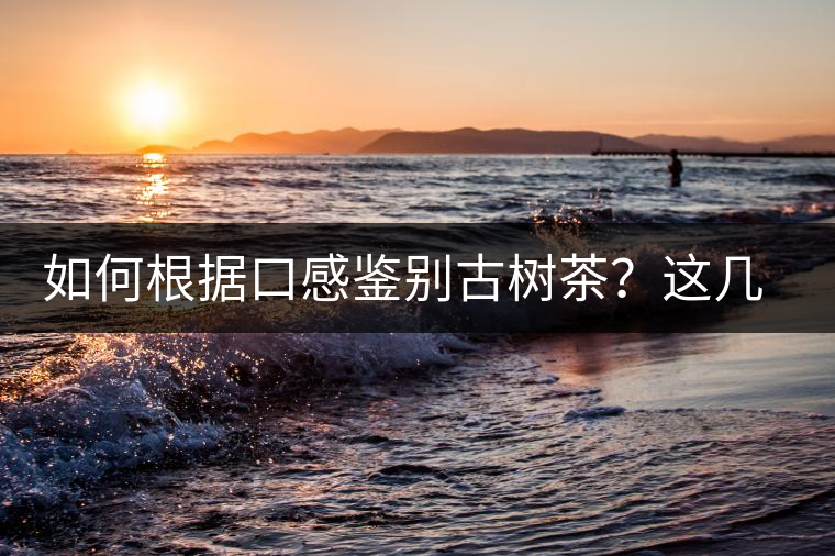 如何根據(jù)口感鑒別古樹(shù)茶？這幾個(gè)技巧值得收藏