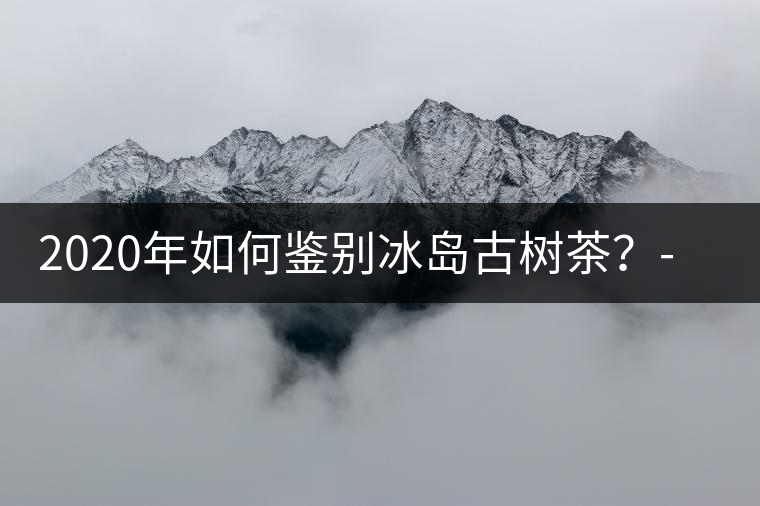 2020年如何鑒別冰島古樹茶？-易武中聘號