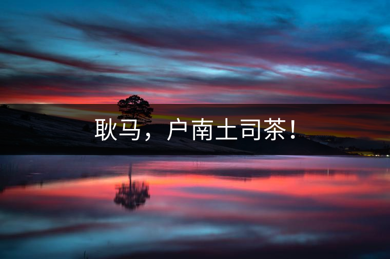 耿馬，戶南土司茶！