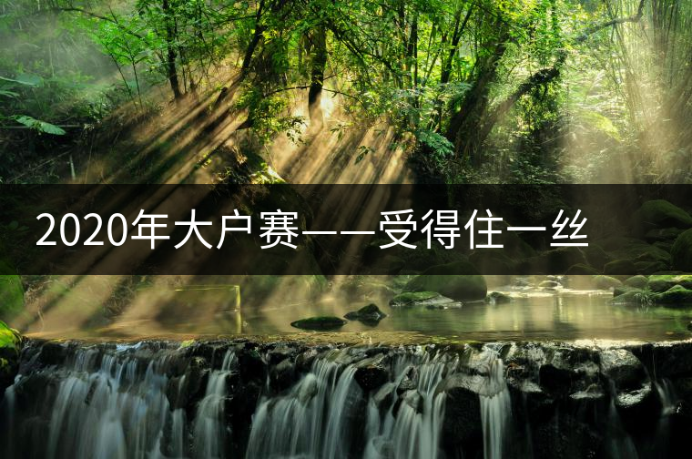 2020年大戶賽——受得住一絲苦，才能盡享一口甜-易武中聘號