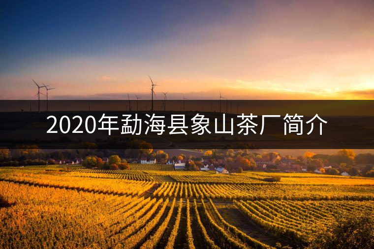 2020年勐?？h象山茶廠簡(jiǎn)介