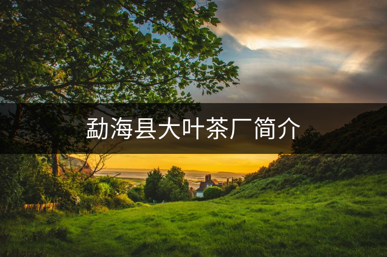 勐?？h大葉茶廠簡介