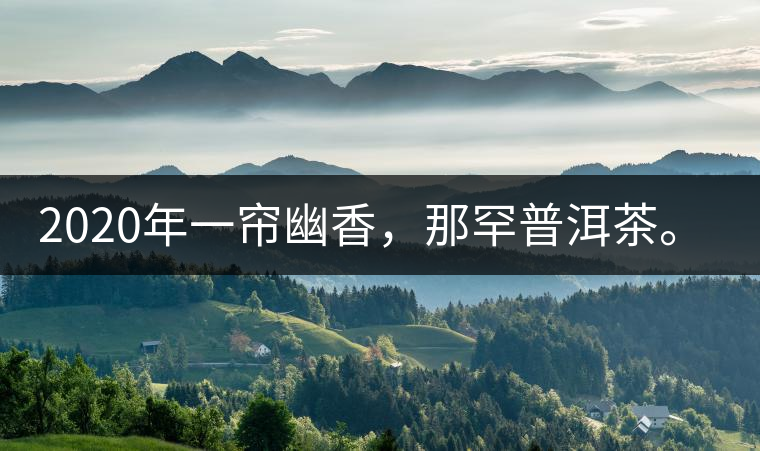 2020年一簾幽香，那罕普洱茶。-易武中聘號