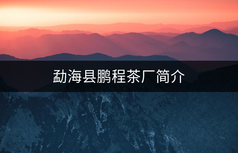 勐?？h鵬程茶廠簡介