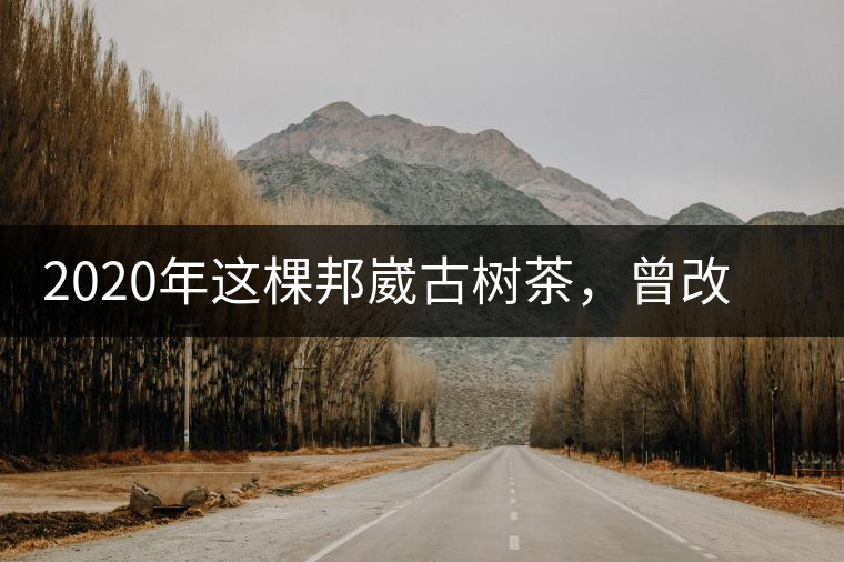2020年這棵邦崴古樹茶，曾改寫普洱茶歷史！-易武中聘號