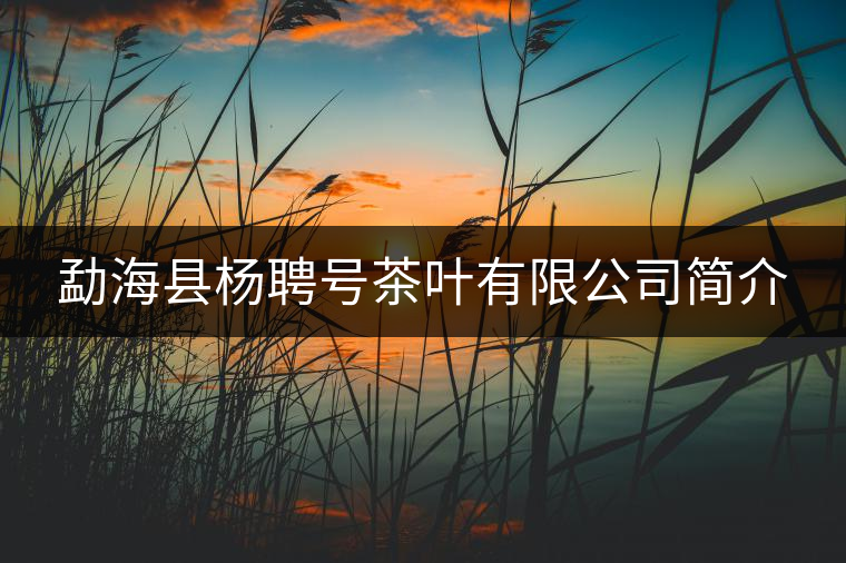 勐?？h楊聘號茶葉有限公司簡介