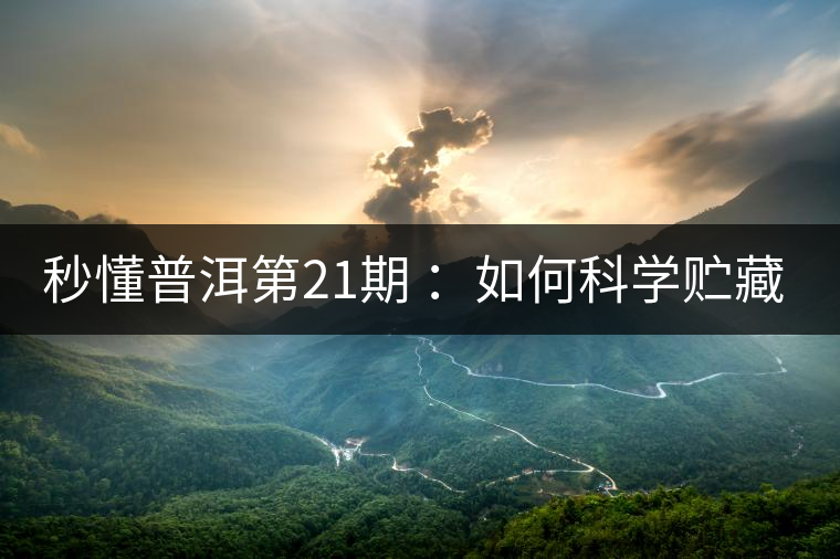 秒懂普洱第21期 ：如何科學(xué)貯藏普洱茶？