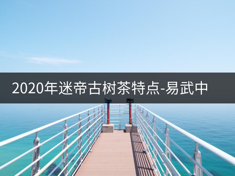 2020年迷帝古樹(shù)茶特點(diǎn)-易武中聘號(hào)