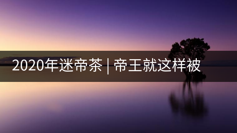 2020年迷帝茶 | 帝王就這樣被迷住了？-易武中聘號