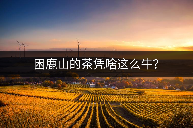 困鹿山的茶憑啥這么牛？