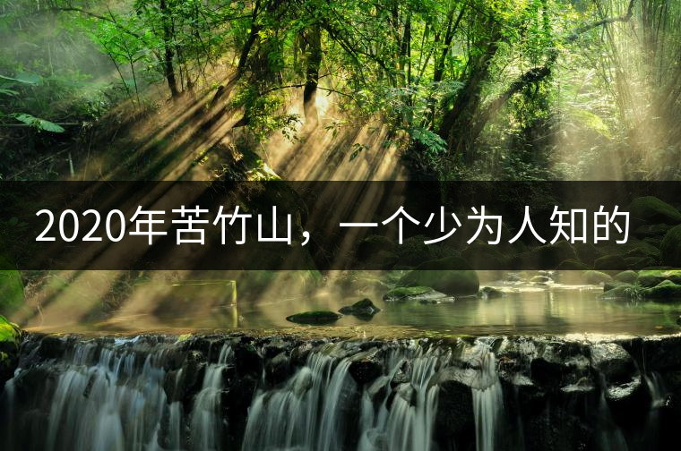 2020年苦竹山，一個(gè)少為人知的后起之秀！-易武中聘號(hào)