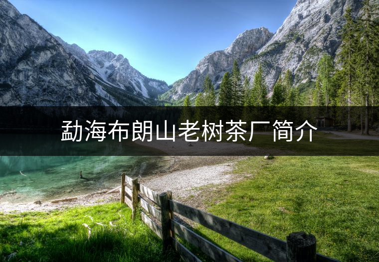 勐海布朗山老樹(shù)茶廠(chǎng)簡(jiǎn)介 勐海布朗山老樹(shù)茶廠(chǎng)簡(jiǎn)介