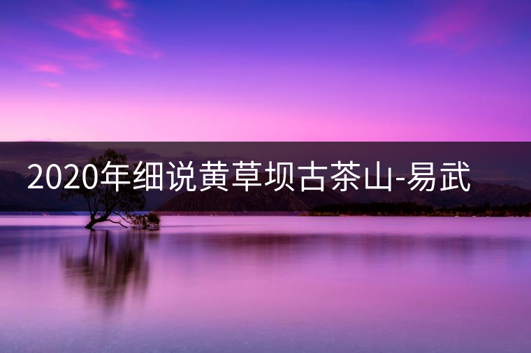 2020年細(xì)說黃草壩古茶山-易武中聘號