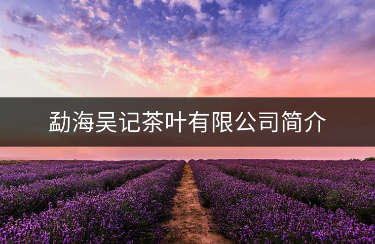 勐海吳記茶葉有限公司簡(jiǎn)介