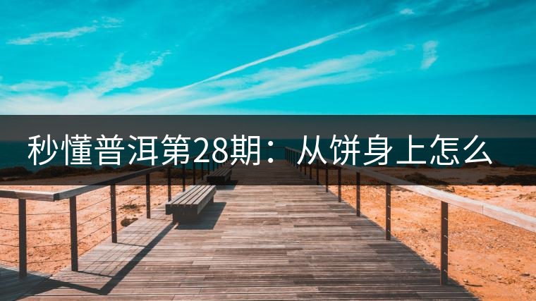 秒懂普洱第28期：從餅身上怎么辨識干倉與濕倉 普洱茶？