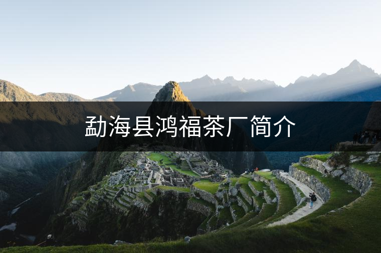 勐?？h鴻福茶廠簡(jiǎn)介