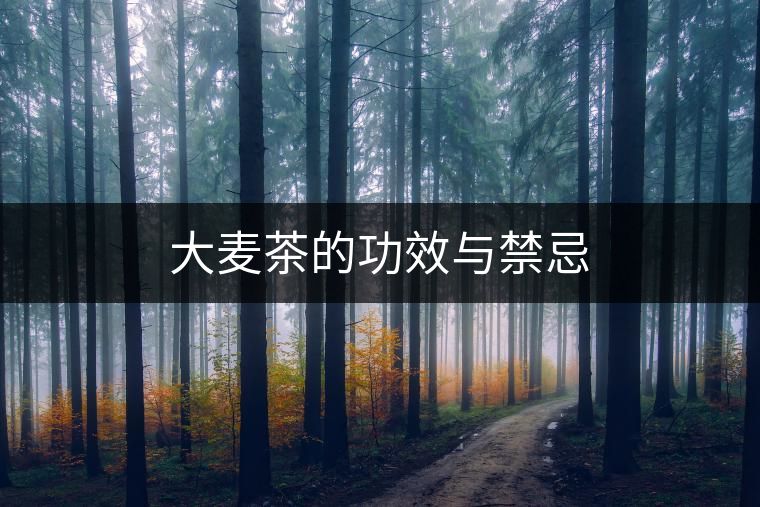 大麥茶的功效與禁忌