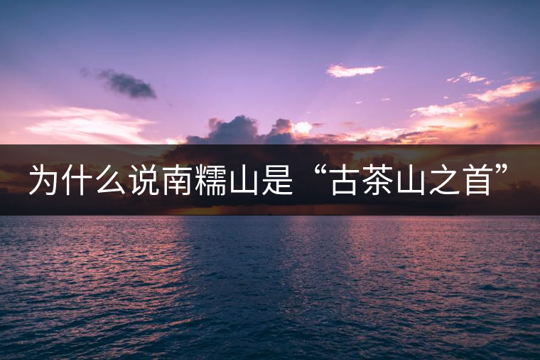 為什么說南糯山是“古茶山之首”？