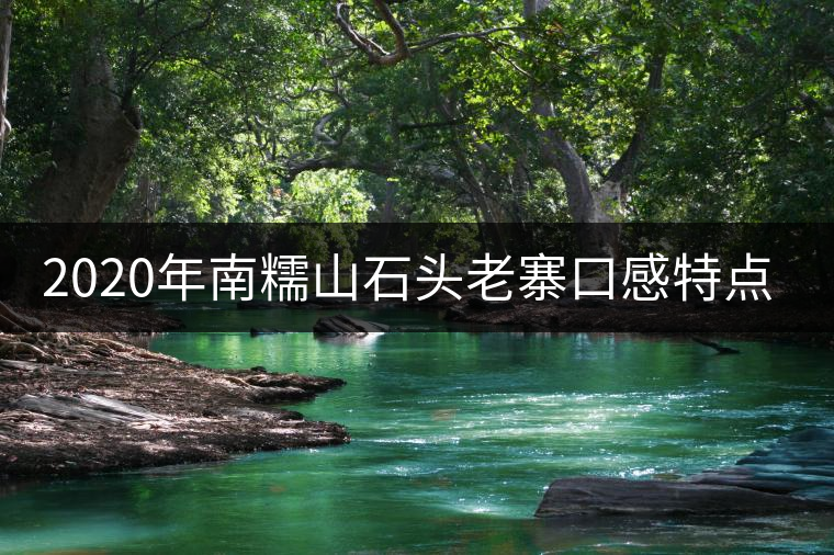 2020年南糯山石頭老寨口感特點-易武中聘號