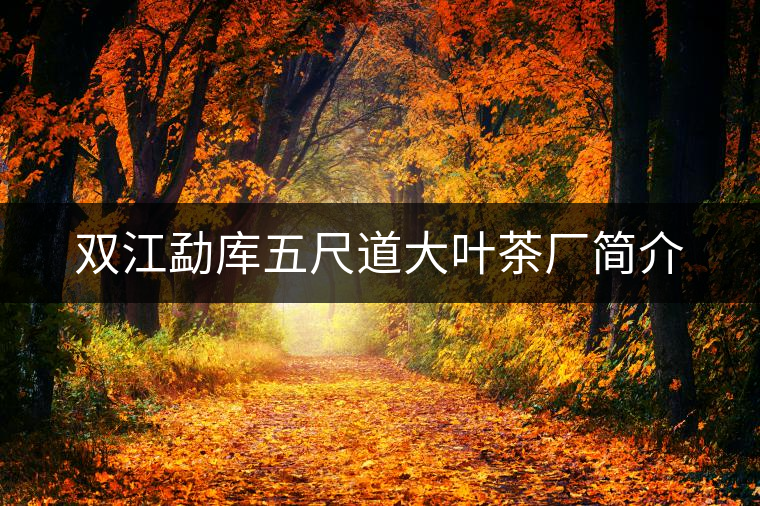 雙江勐庫五尺道大葉茶廠簡介 雙江勐庫五尺道大葉茶廠簡介
