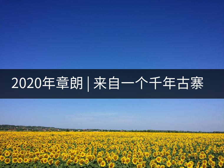 2020年章朗 | 來自一個千年古寨的古樹茶 -易武中聘號