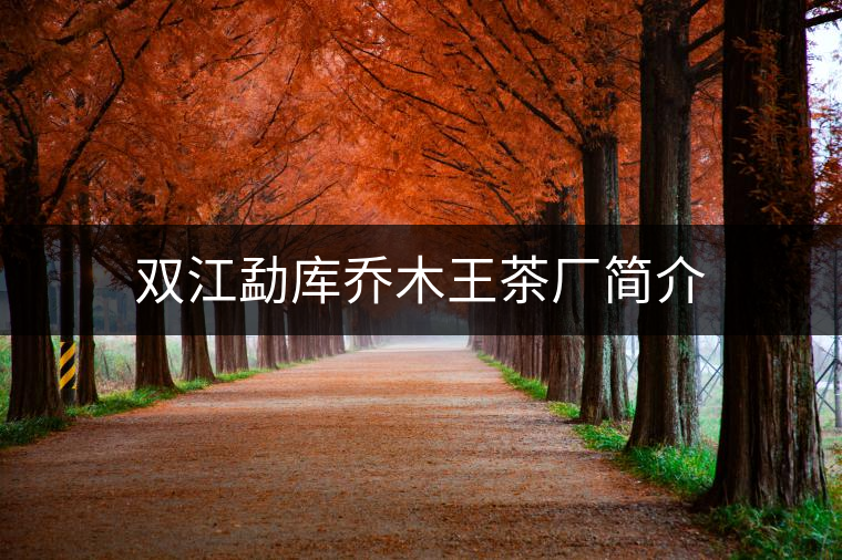 雙江勐庫喬木王茶廠簡介