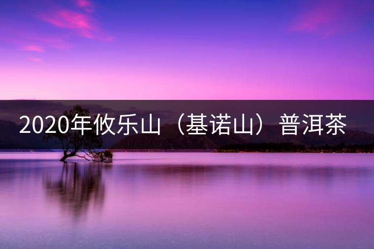 2020年攸樂(lè)山(基諾山)普洱茶的特點(diǎn) -易武中聘號(hào) 2020年攸樂(lè)山(基諾山)普洱茶的特點(diǎn) -易武中聘號(hào)