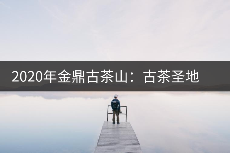 2020年金鼎古茶山:古茶圣地 探險(xiǎn)樂園-易武中聘號 2020年金鼎古茶山:古茶圣地 探險(xiǎn)樂園-易武中聘號