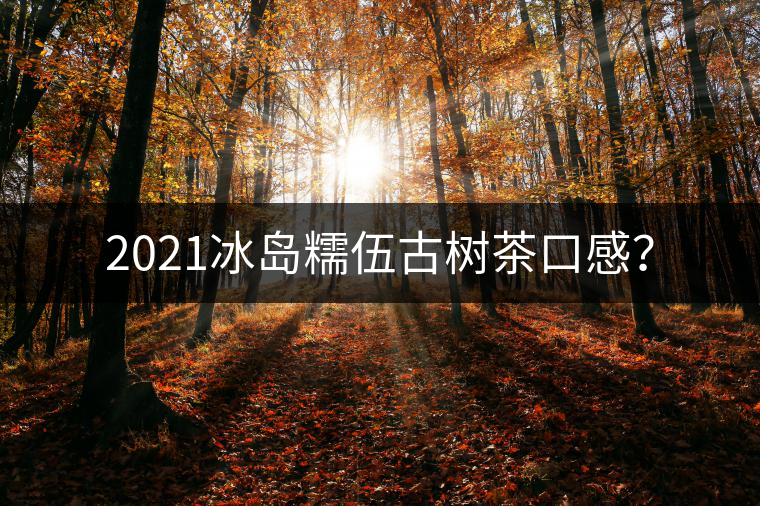 2021冰島糯伍古樹茶口感？